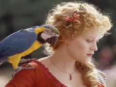Films about social growth