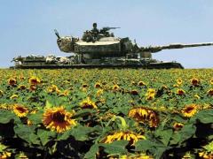 Films about the life of the military