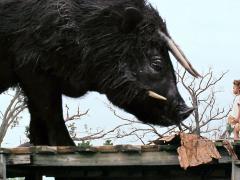 Films about climate change