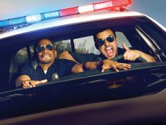 Films about false policemen