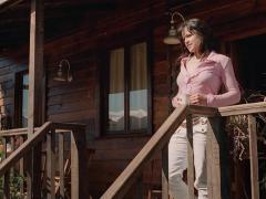 Films about killer dogs