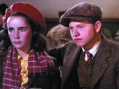 Films about a horse trainer