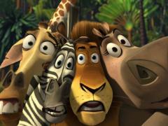 American movies about Zebras