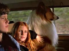 Movies about a dog and a boy