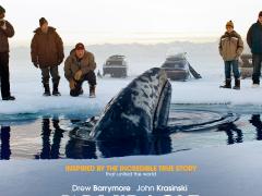 American films about volunteers