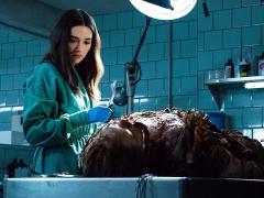 TV series about mad scientists