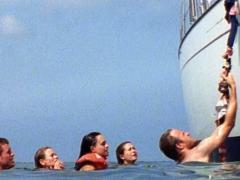 German shark movies