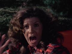 Movies about park rangers