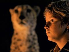Movies about wild animals