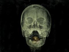 Movies about parasites