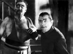 Films about plantations