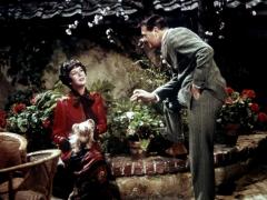Films about burlesque
