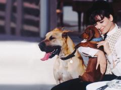 Films about Great Dane