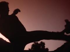 Films about fighting styles
