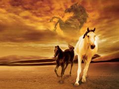 Movies about black horses