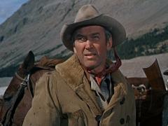 Movies about cattle
