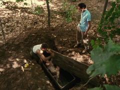 Films about masochists