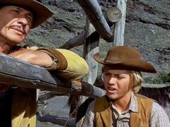Films about half-breeds