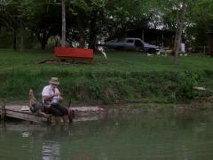 Films about the avant-garde