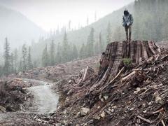 Films about environmental protection and ecology
