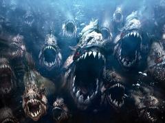 Movies about piranhas