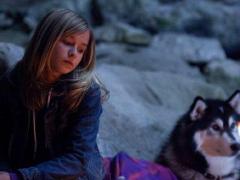Canadian Dog Movies