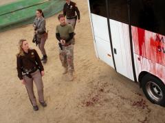 Movies about poachers