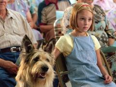 Family movies about family