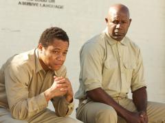Movies about self-destruction