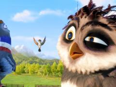 German movies about birds