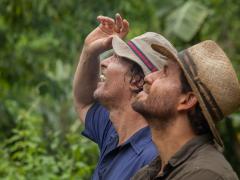 Films about the gold mine
