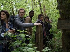 Movies about the lost in the forest