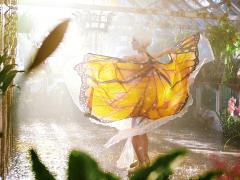 Films about florists