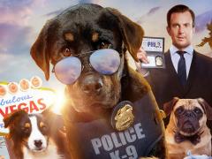 Movies about rottweilers