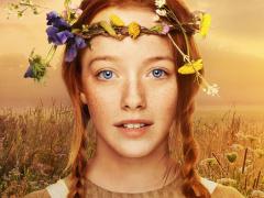 TV series about foster families