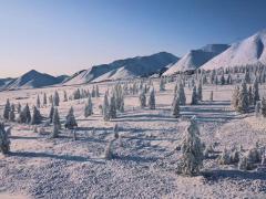 Russian movies about the Arctic
