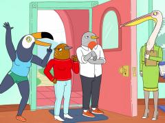 Animal Comedy Series