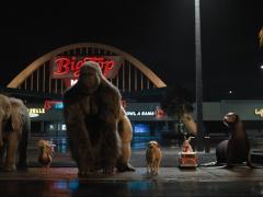 Films about circus performers